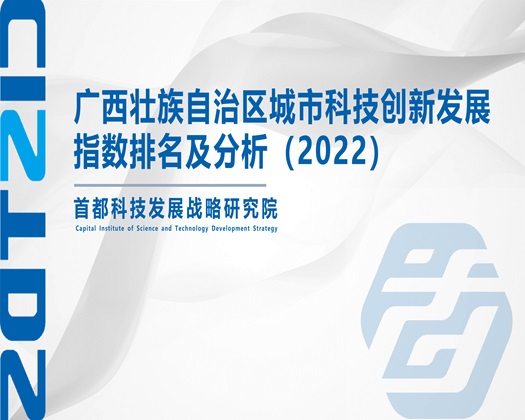 大鸡吧色色【成果发布】广西壮族自治区城市科技创新发展指数排名及分析（2022）